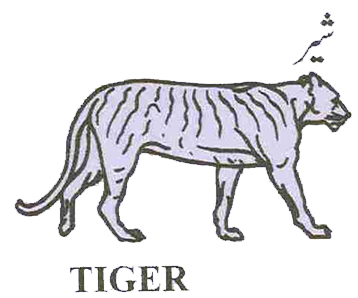 PML-N symbol